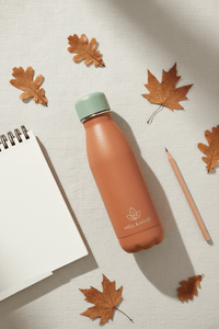 Gourde Isotherme Pour La Rentrée : Comment Bien La Choisir - Purcook