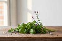 Jardinage Aromatiques Mars : Basilic, Persil, Ciboulette Cuisine (2026)