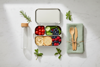 Lunch Box Sans Plastique Pour La Rentrée : Le Guide Complet 2026