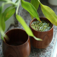 Petite tasses en bois naturel - Purcook mug , verre